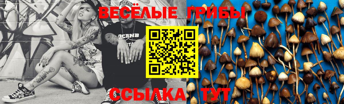 Псилоцибиновые грибы мухоморы  Вход с VPN  Новозыбков 
